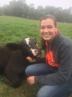 Evelyn, Simmental, with Katelyn